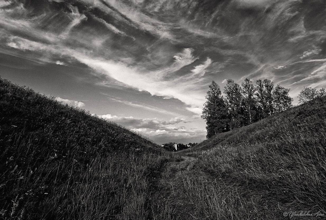 старица, лето, черно-белое, холмы, Анна Цветковская