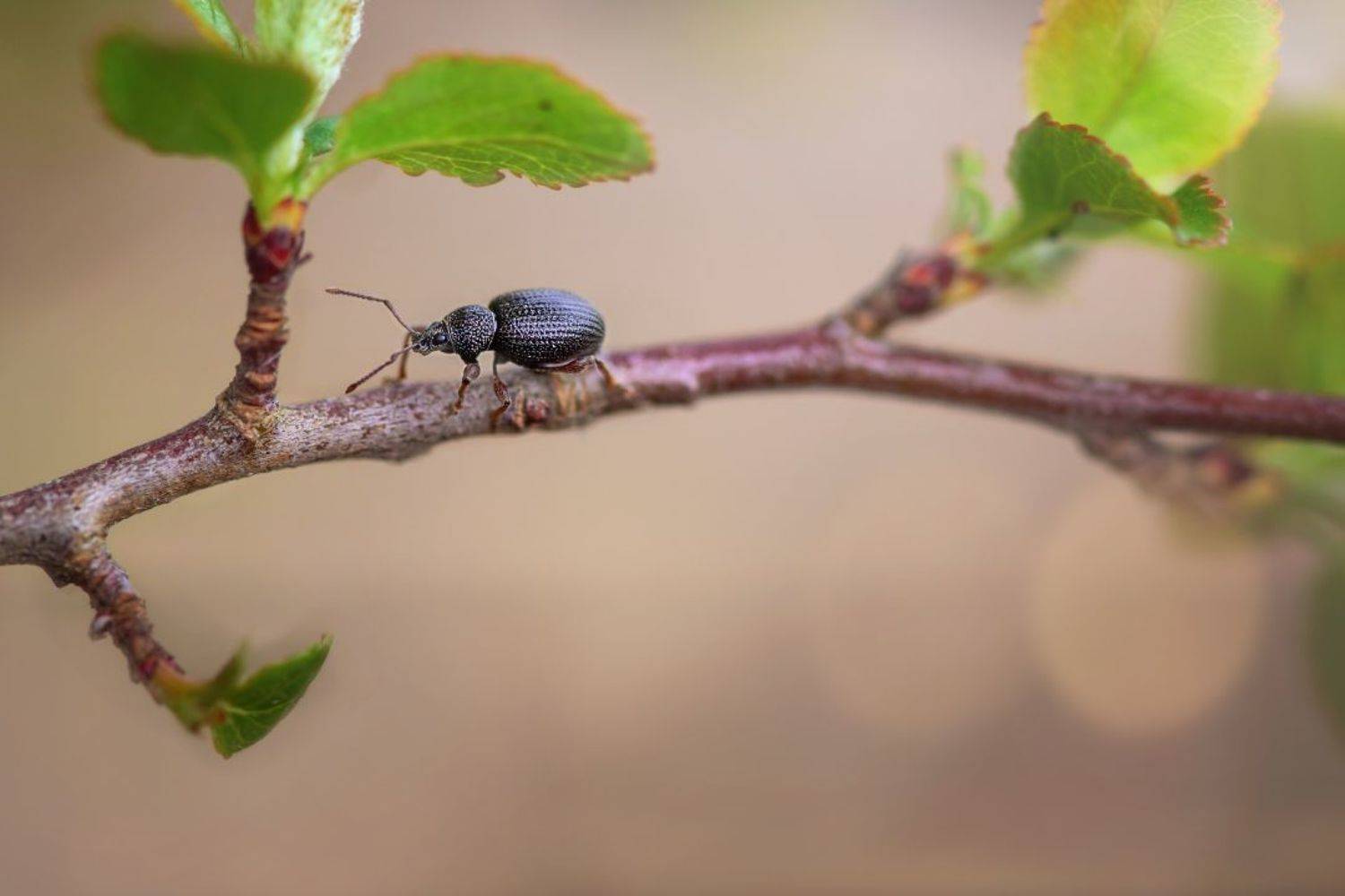 , Татьяна Винничук