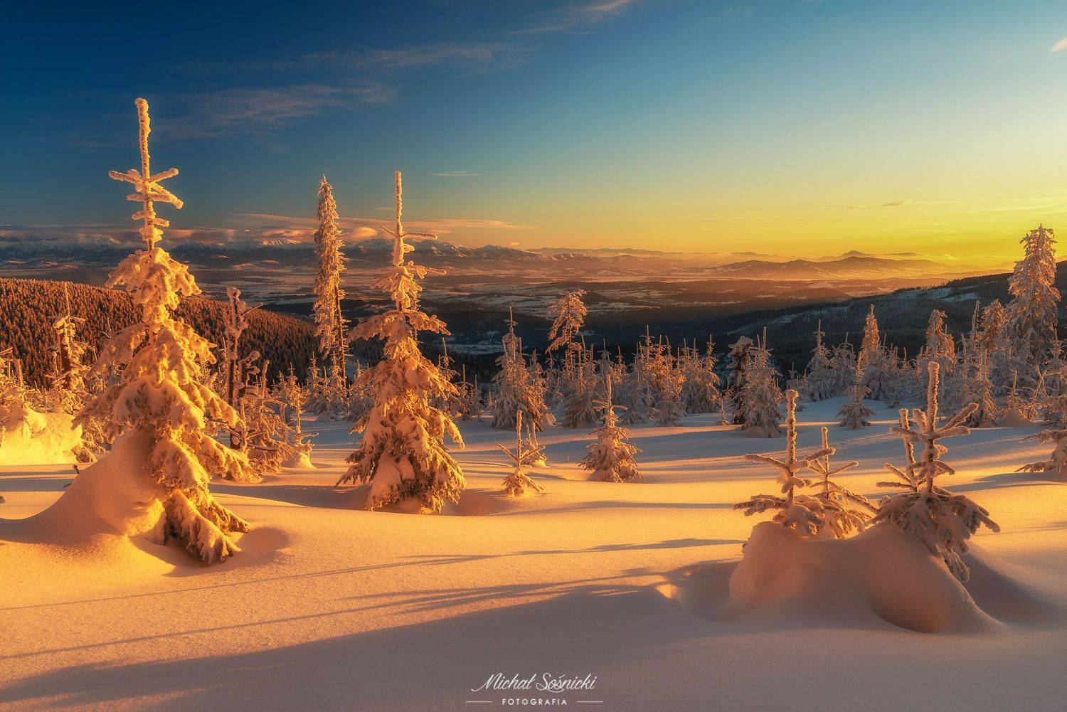#tree #winter #sunset #sky #wood #nature #amazing #earth #pics #photo #best #poland #pentax #benro #haida, Michał Sośnicki