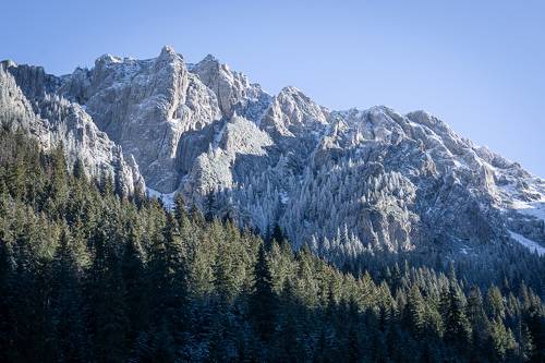 Frosty view