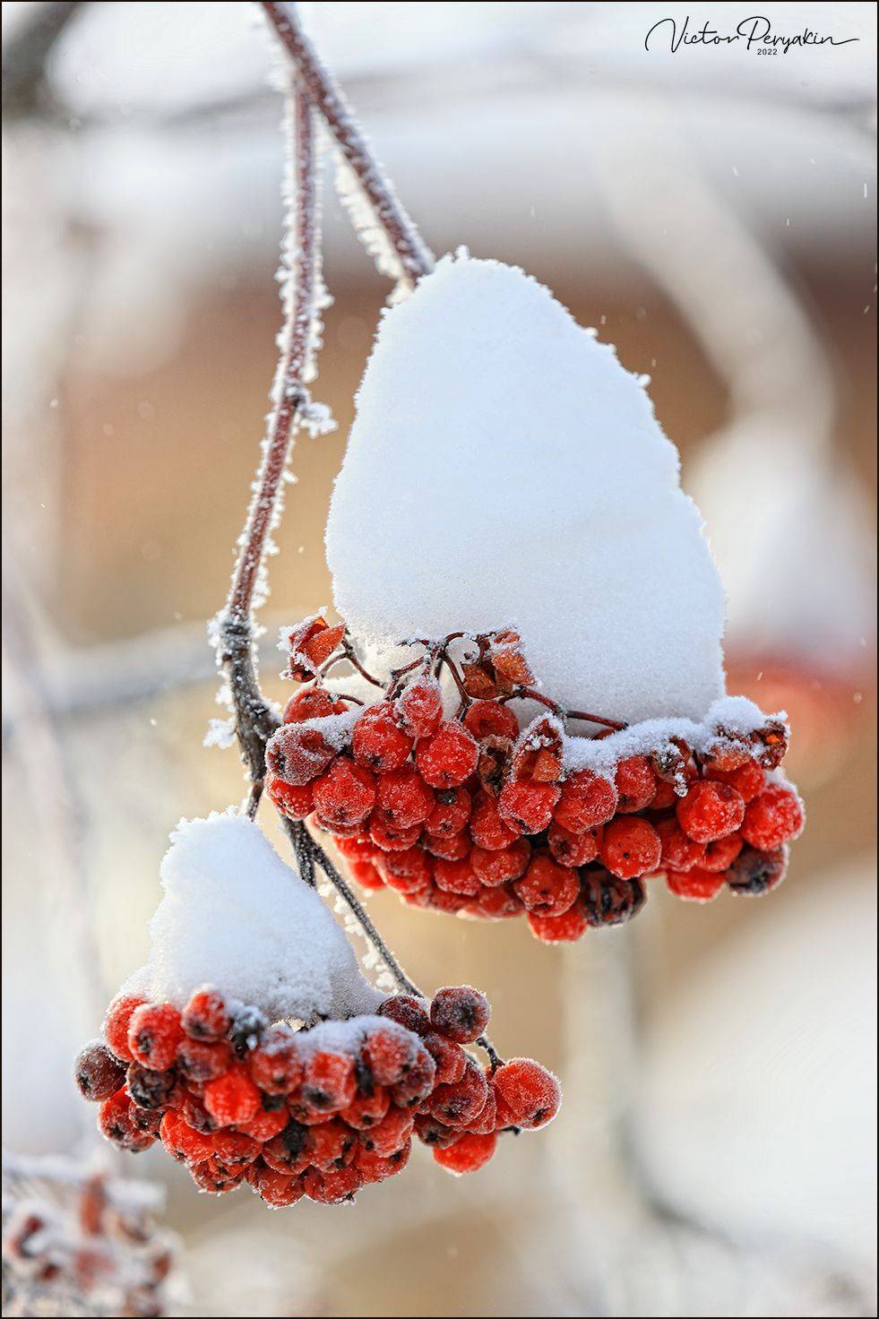 , Виктор Перякин