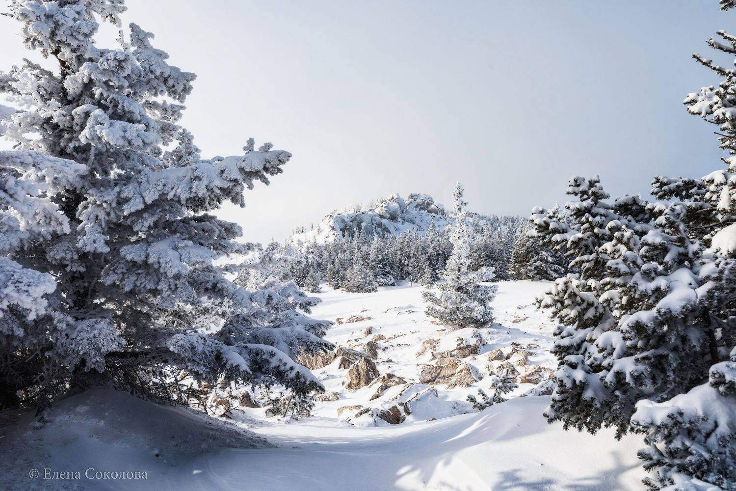 зюраткуль, пейзаж, зимний пейзаж, снег, красота, хребет зюраткуль, челябинская область, южный урал, Соколова Елена