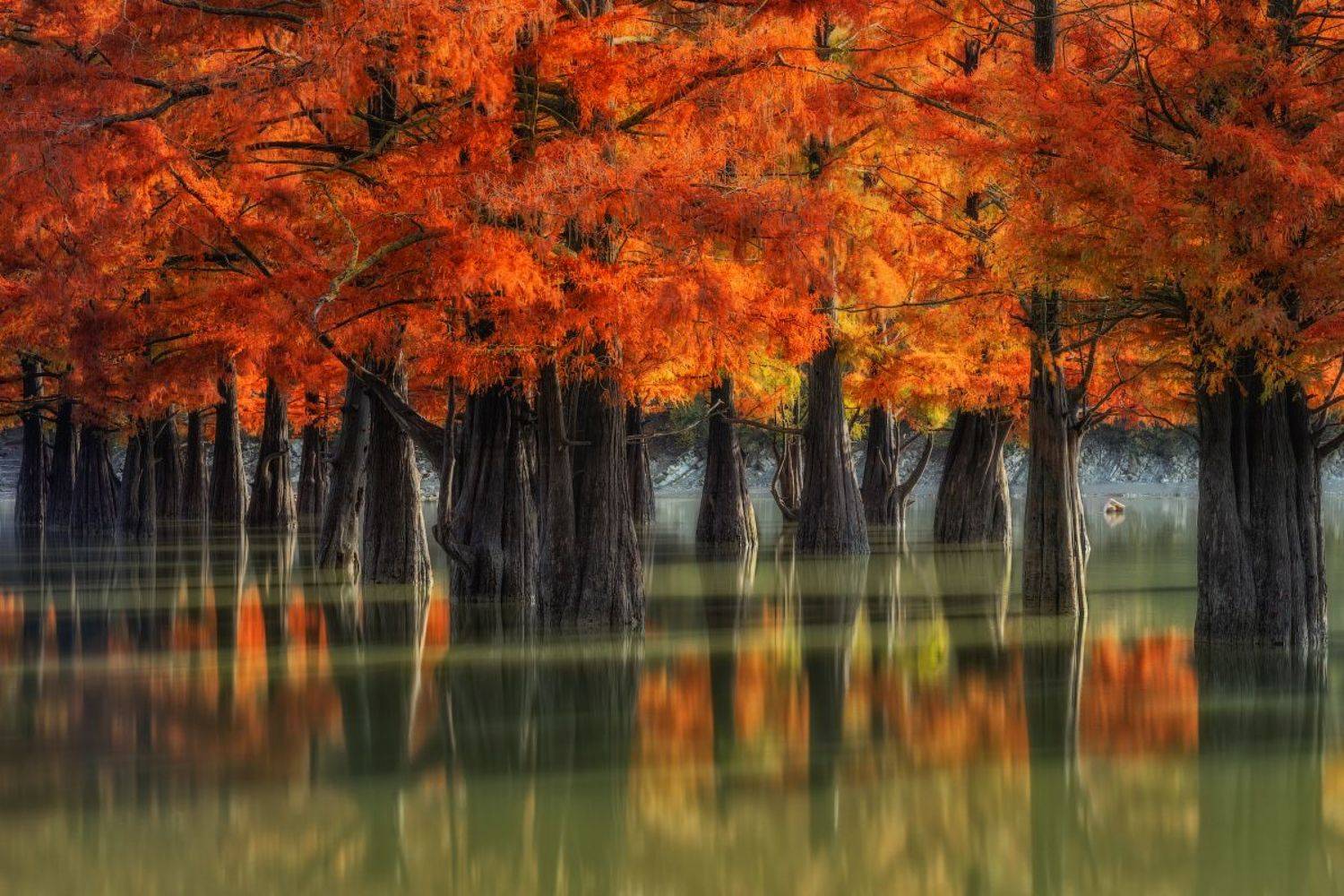 , Александр Хорошилов