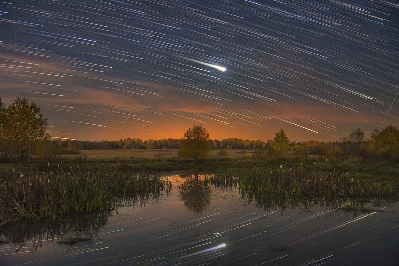 ночь звезды звездные треки ночное небо осень пруд отражения рогоз юпитер Небо и звёзды, отражённые в поверхности пруда фото превью