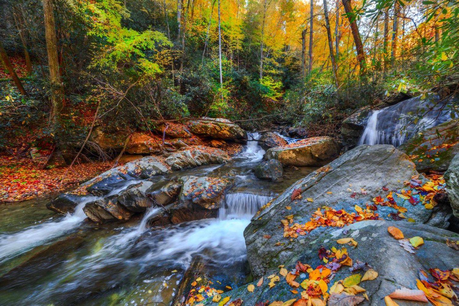 , Леонид Дьяченко