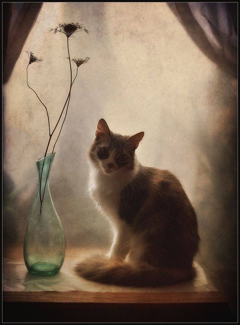 , Александр Хромеев