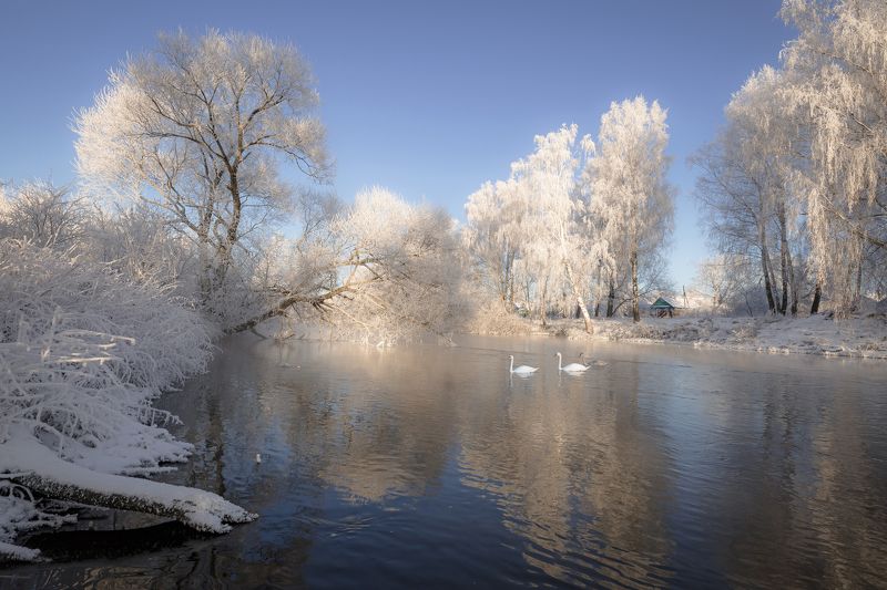 Морозный день фото превью