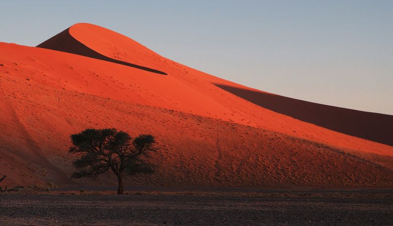 пустыня, дюны, свет, намибия Геометрия пустыни фото превью