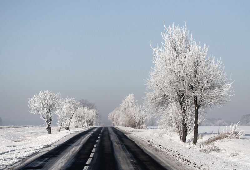 local road... фото превью