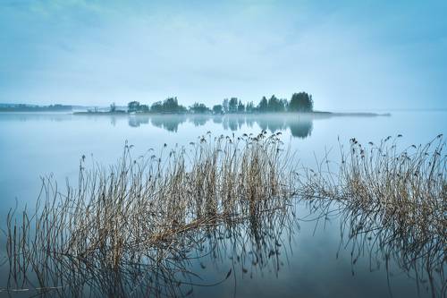 Туманный рассвет Селигера