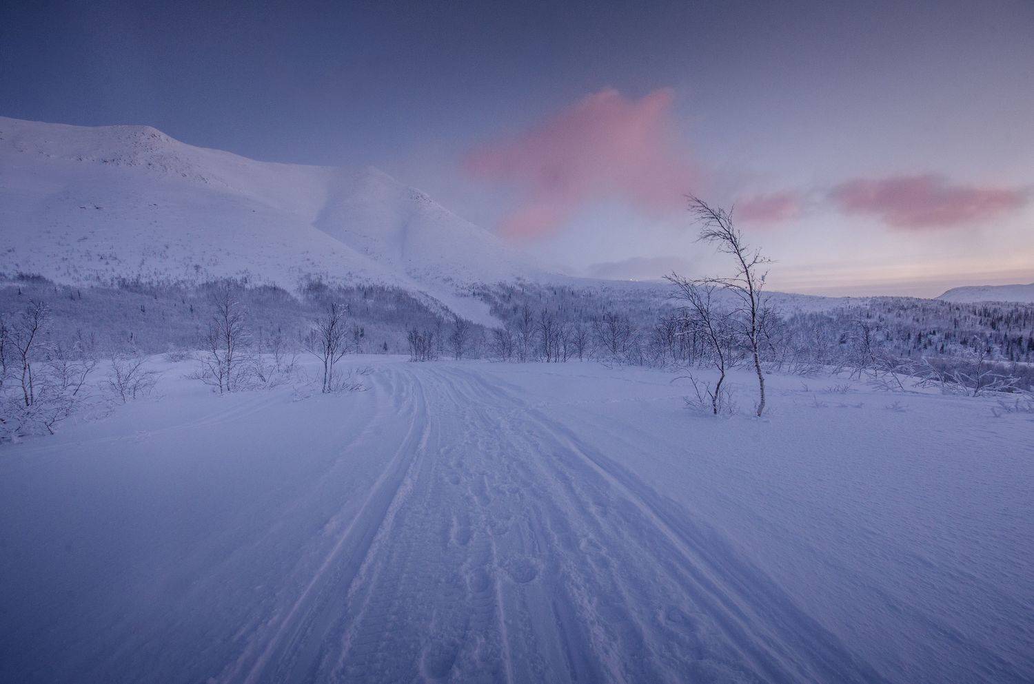 , Абрамов Денис