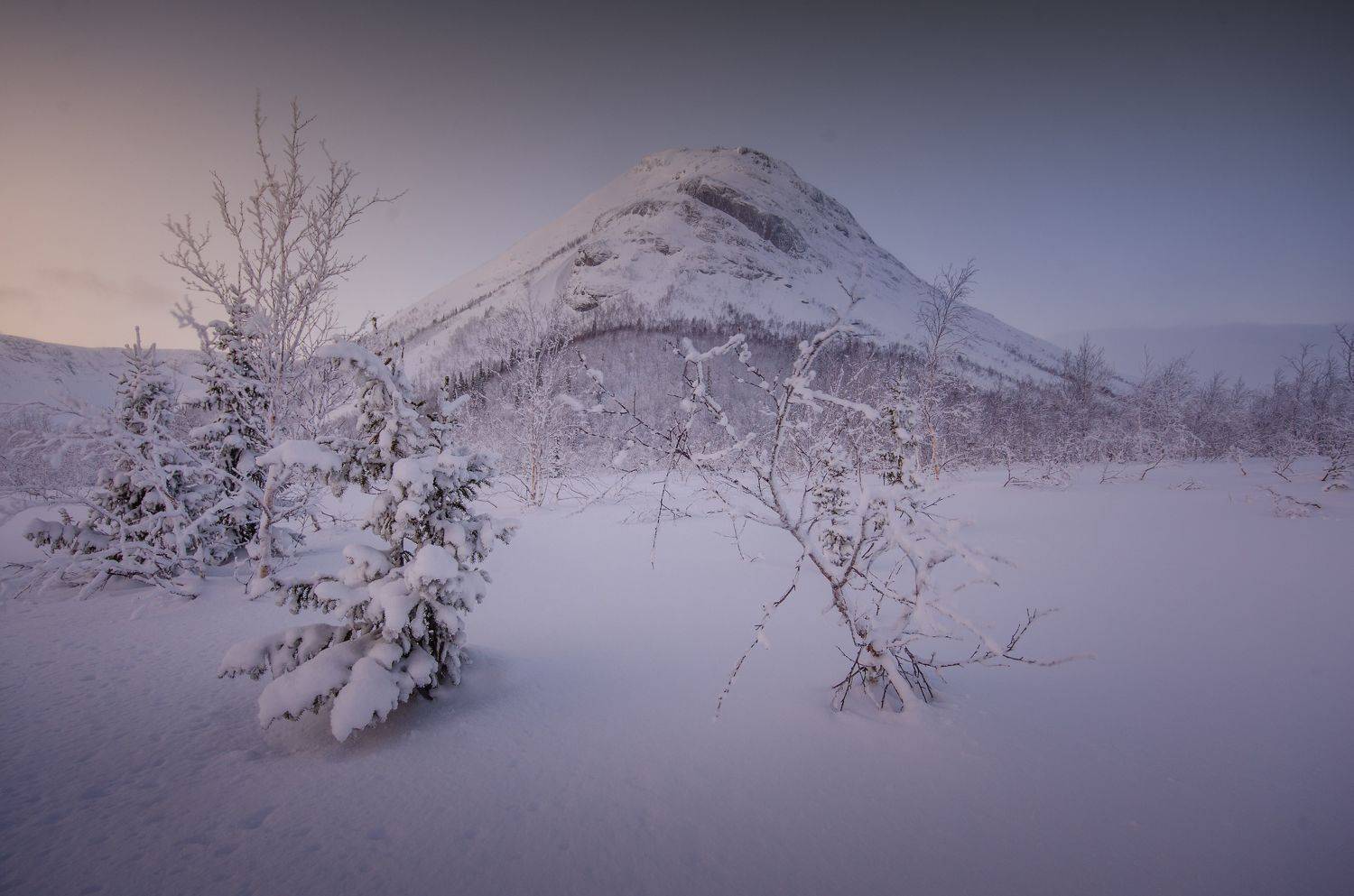 , Абрамов Денис