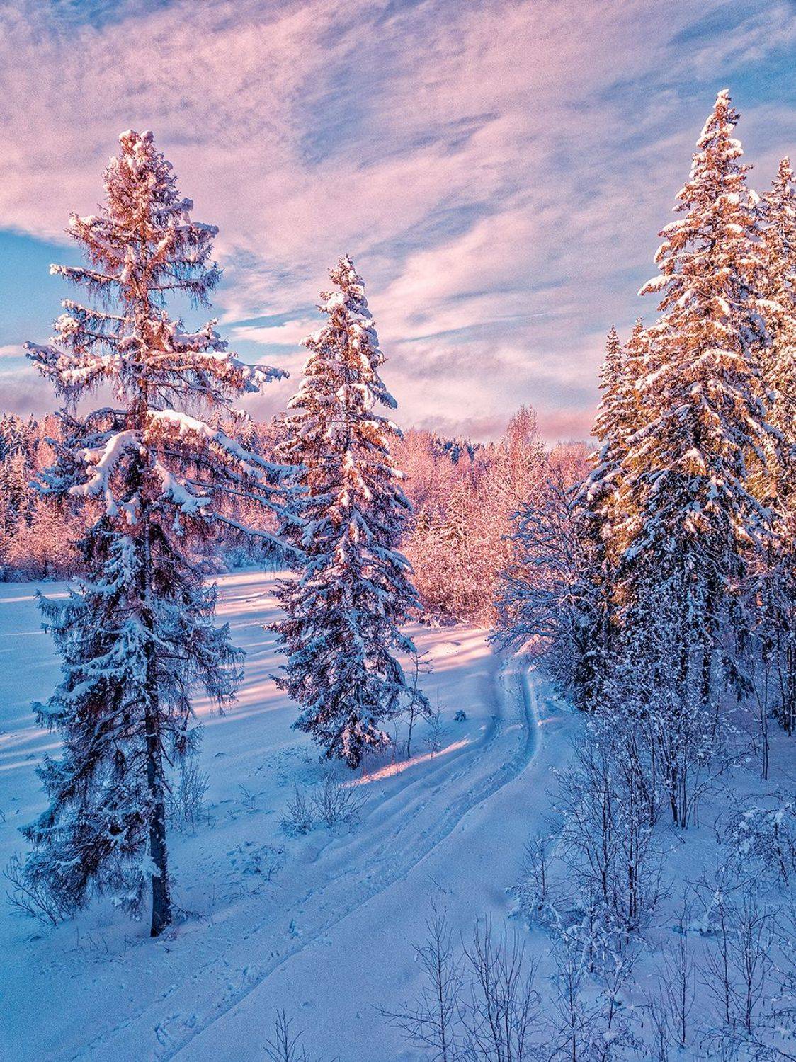 , Павел Жданов