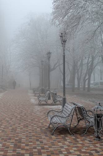 Зимний туман