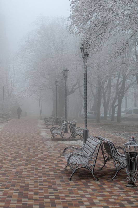 Туман, город, улица. иней Зимний туман фото превью