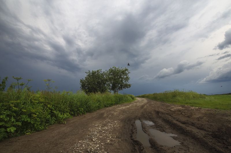 Перед грозой фото превью