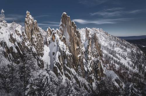 Зимние перья