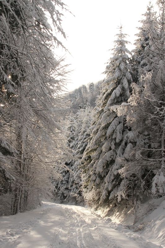 Zima фото превью