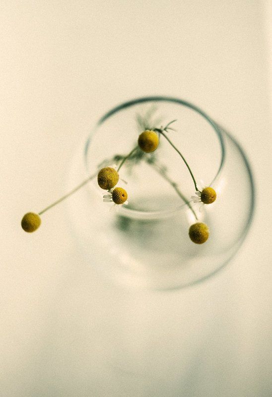 весеннее фото превью