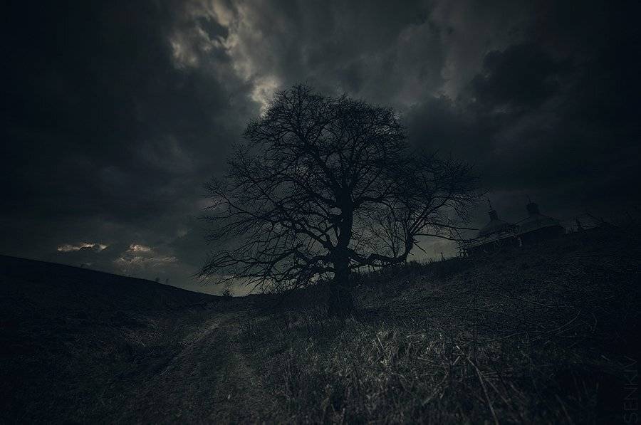 , Володя Сеньків