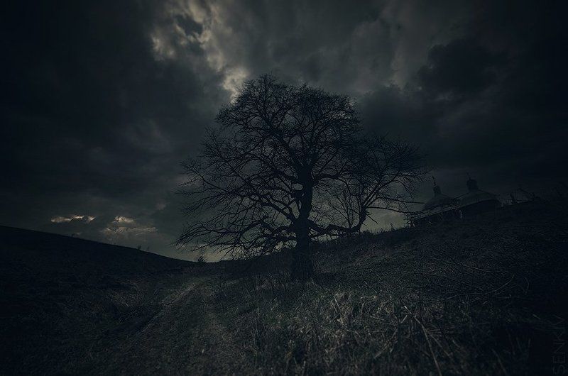 Lonely фото превью