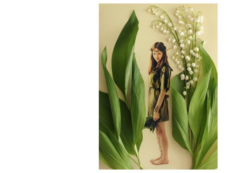 Ландыш, Цветы, Эльф Где живут маленькие лесные эльфы фото превью