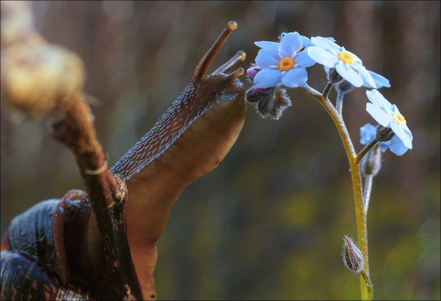 , Аркадий Белов