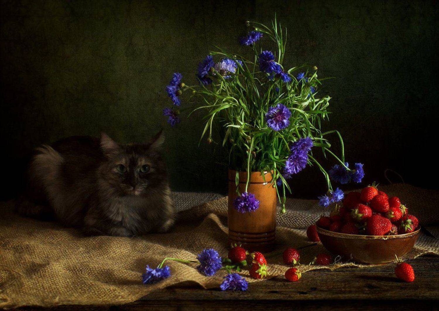 , Елена Брежицкая