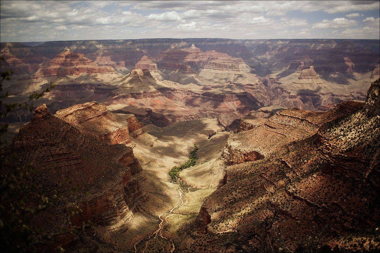 , Юлия Шевчук