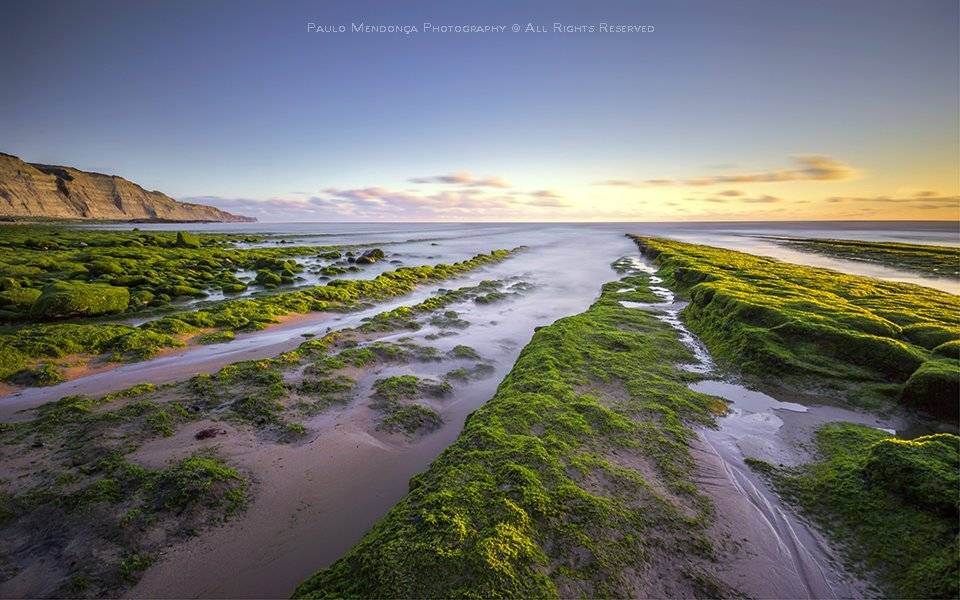 , Paulo Mendon&ccedil;a