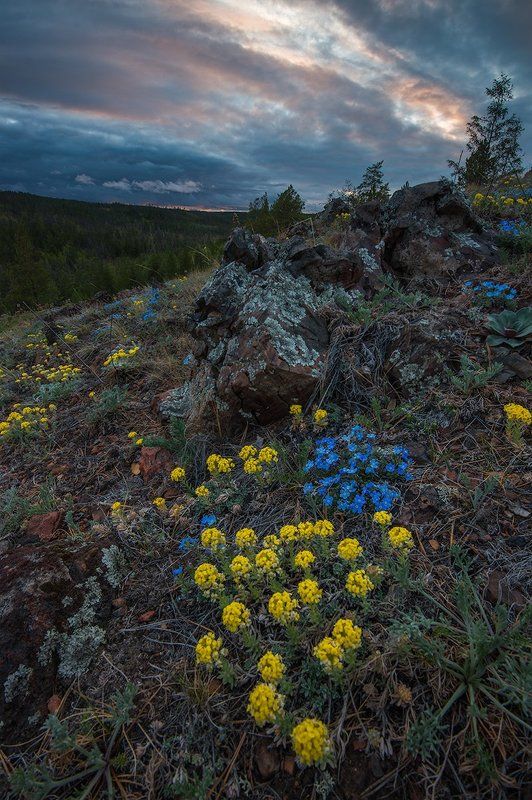 В двух шагах от лета фото превью