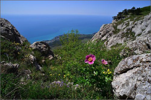 Крымская весна