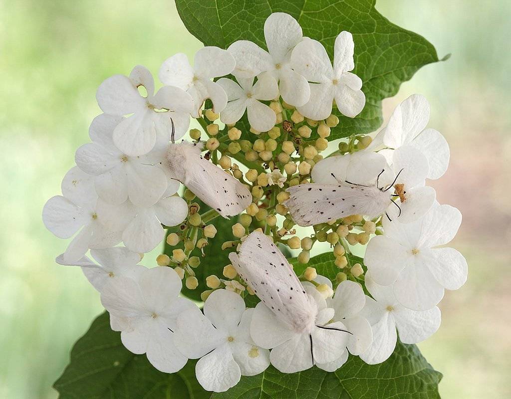 , Сергей Таланов