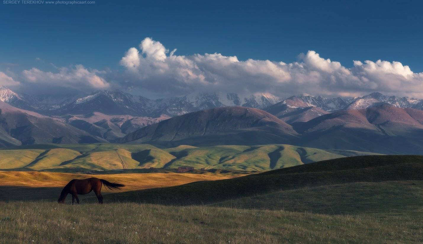 , Сергей Теректы