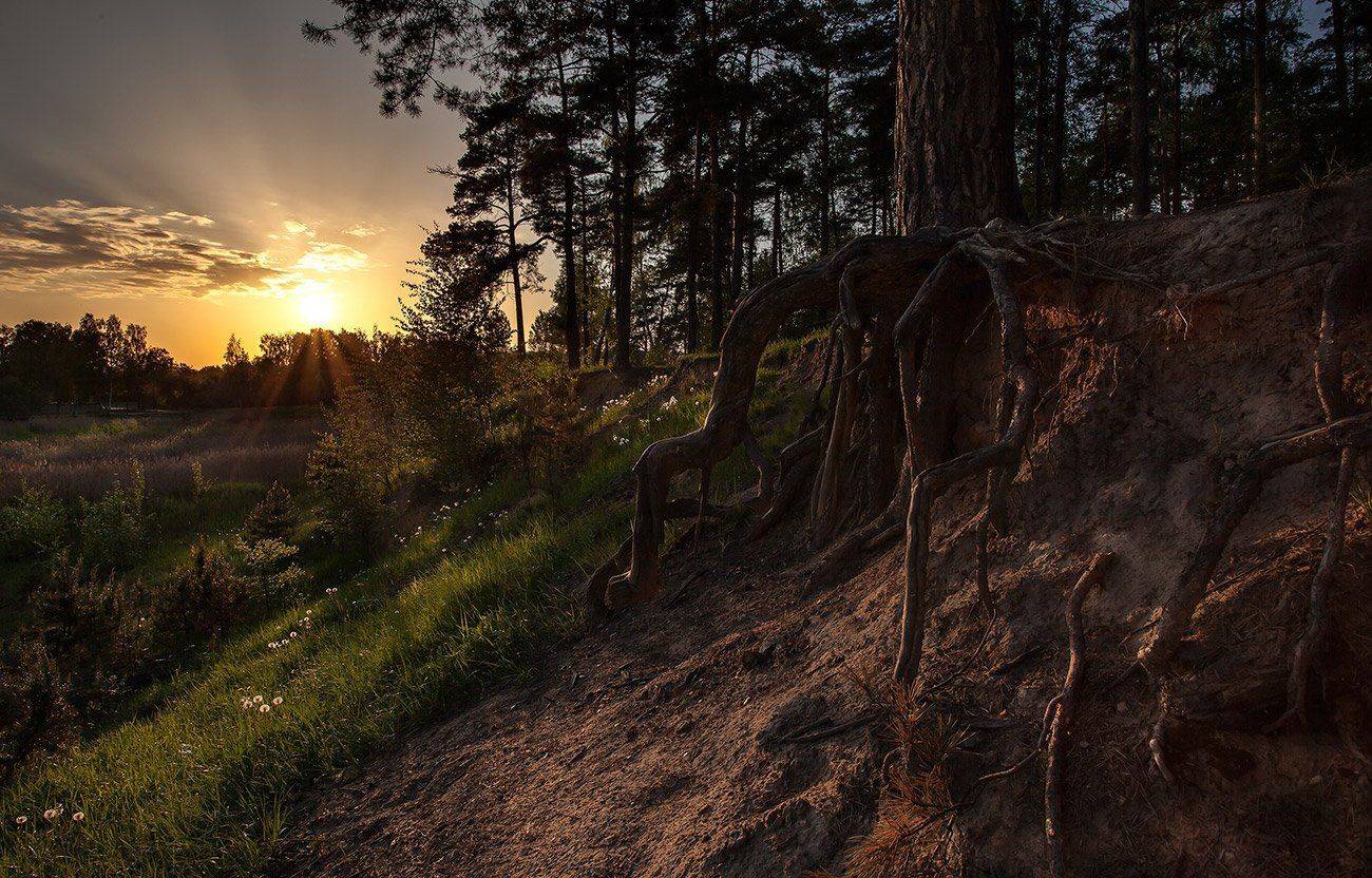 купавна., подмосковье, Андрей Леонидович