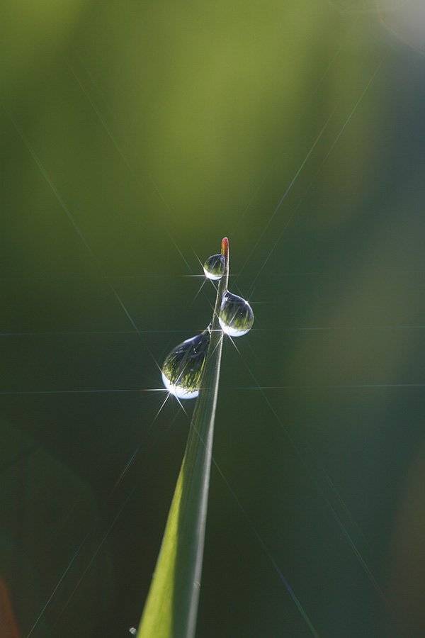 , Сергей Таланов