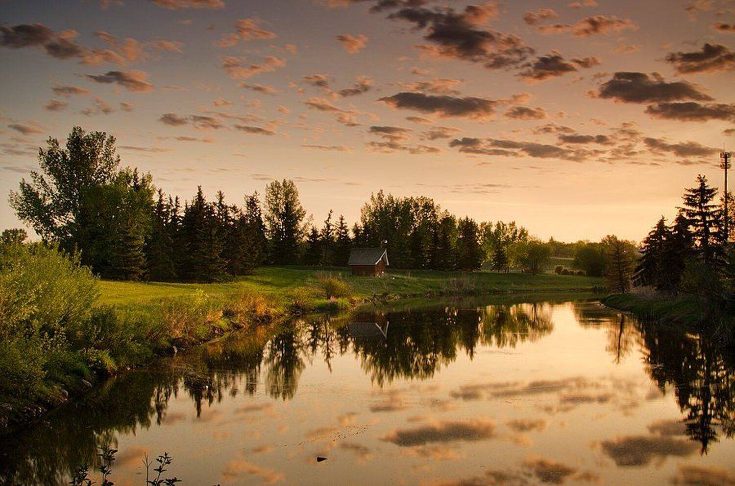 Dawn, Landscape, Nature, Wet, tree, meadow, natural, agri, Михаил