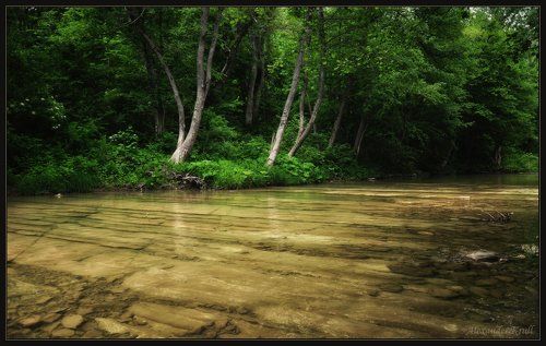 По майскому Абину...