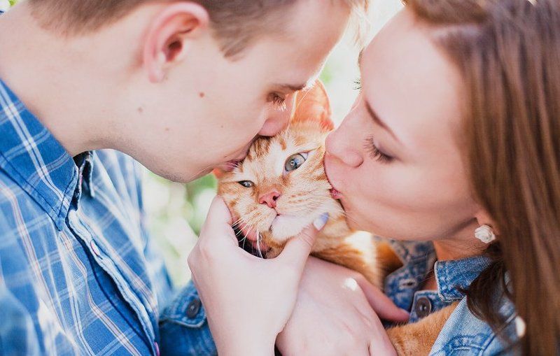 2+1 фото превью