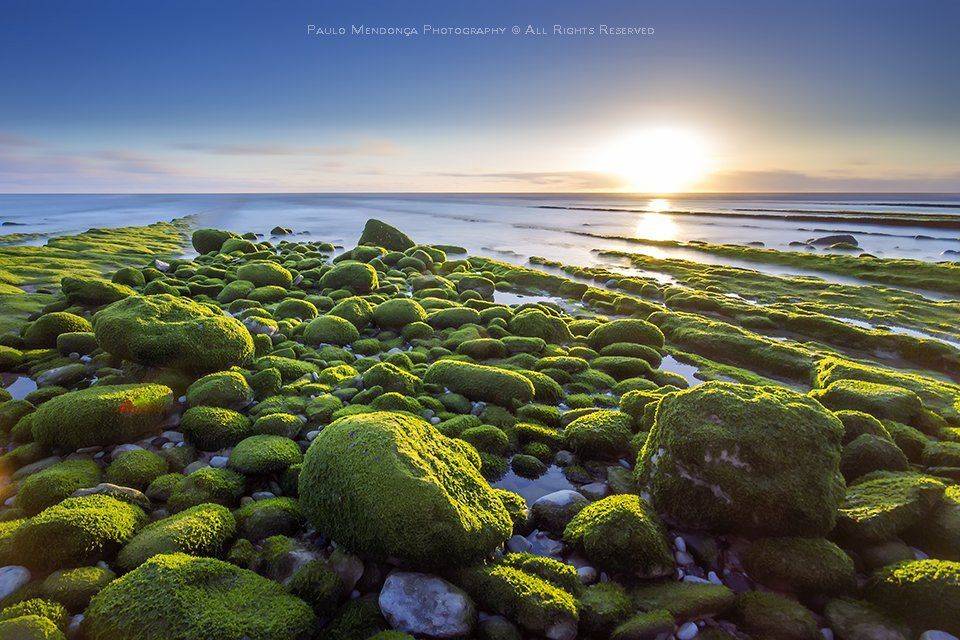 , Paulo Mendon&ccedil;a