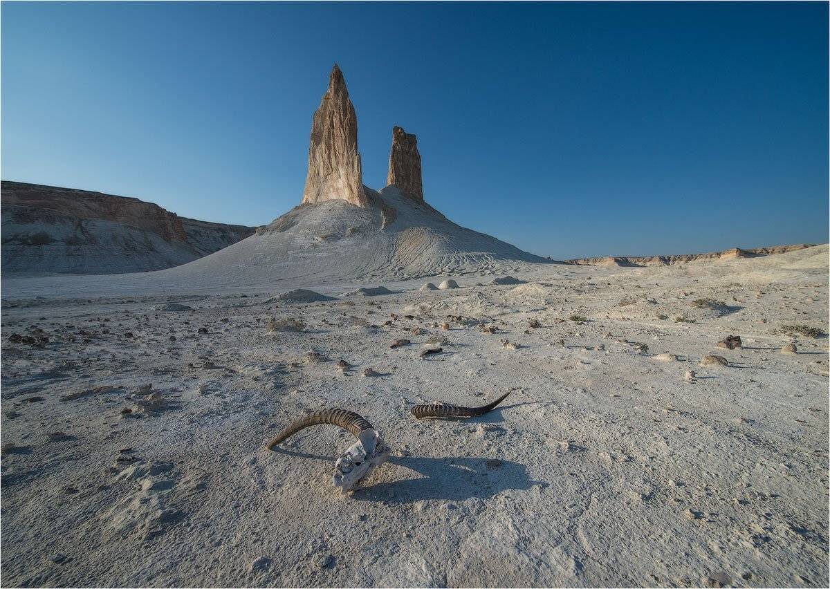 казахмтан, мангистау, заповедник устюрт, сор киндерли., Кутыгин Эдуард