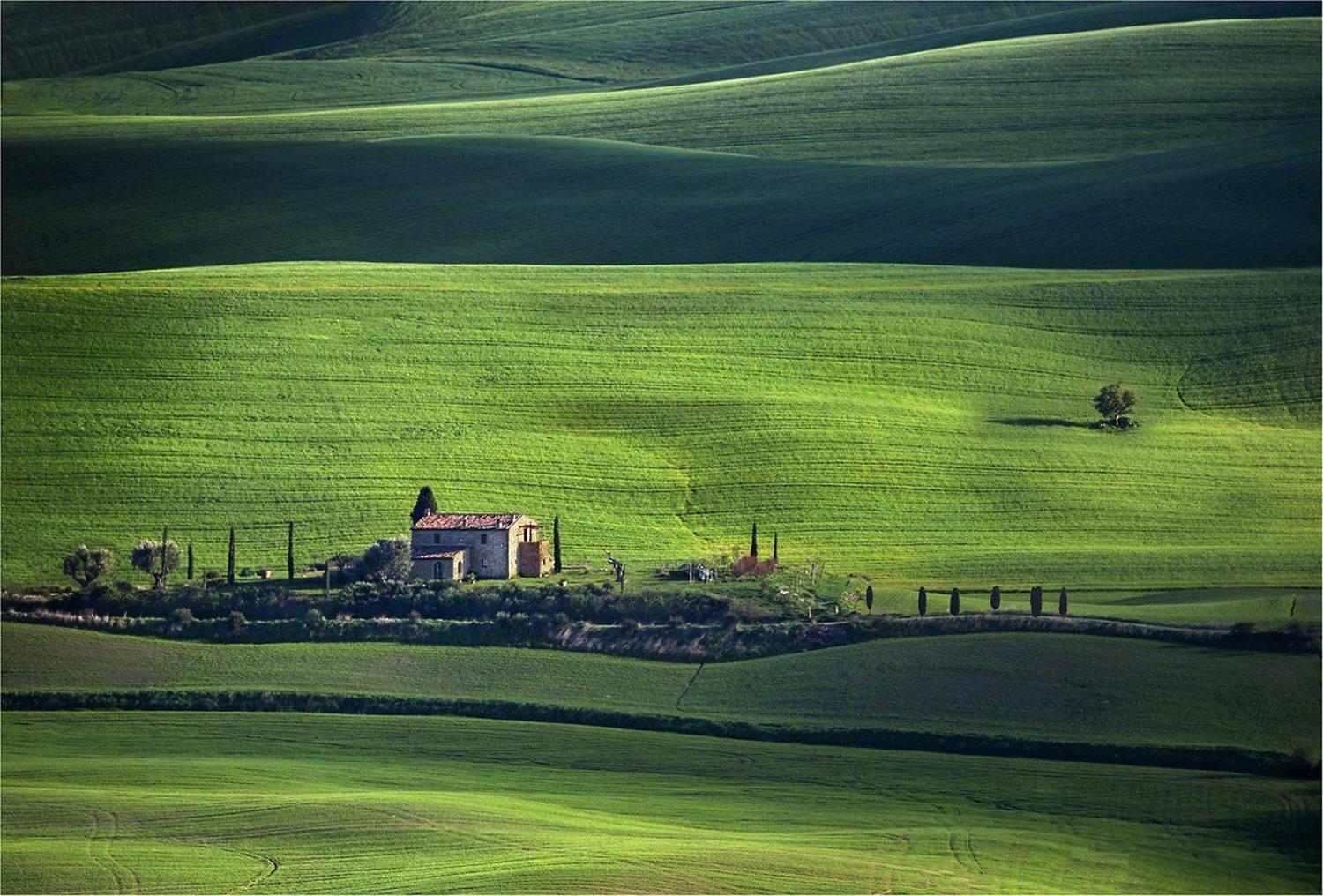 , Danny Vangenechten