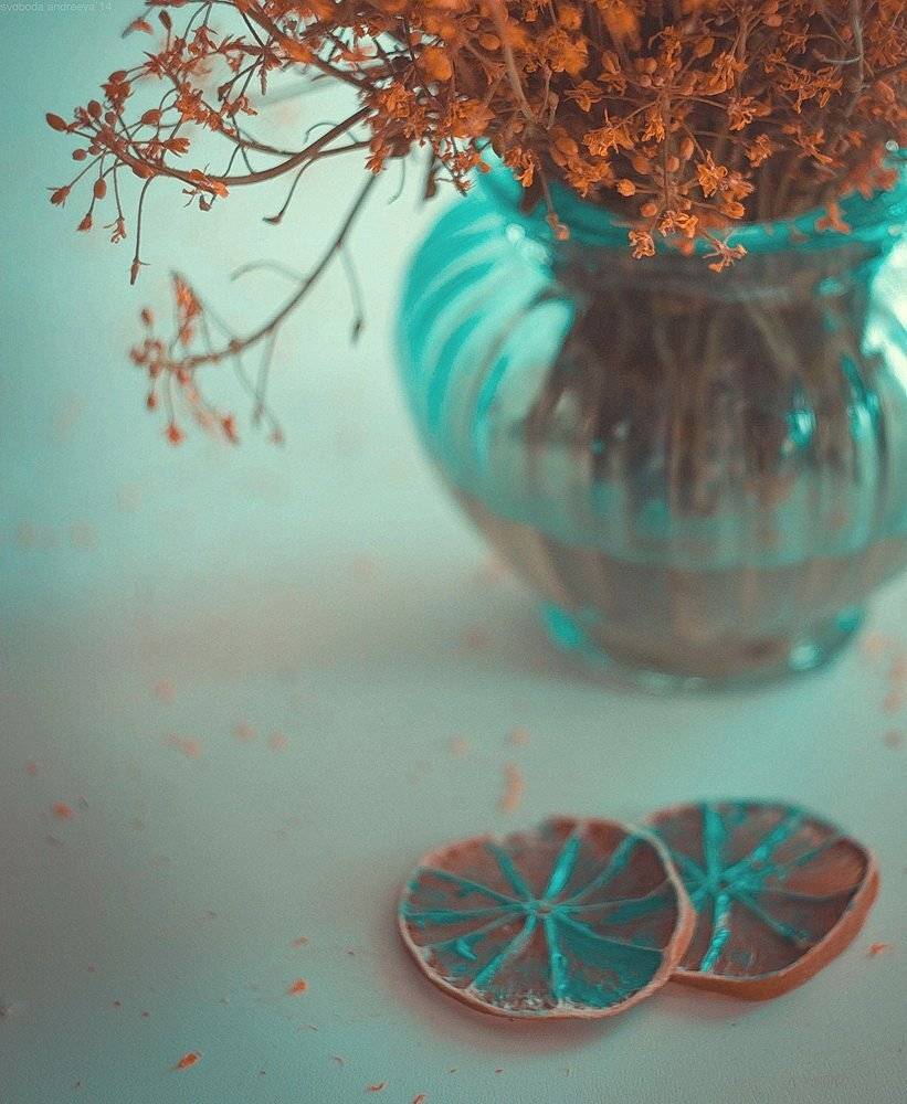 .... Автор: Svoboda Andreeva , Svoboda Andreeva