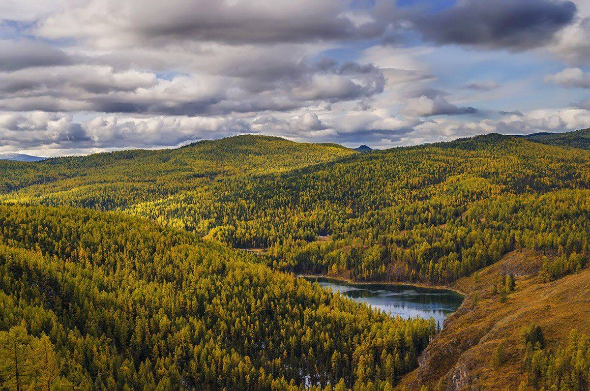 , Альберт Беляев