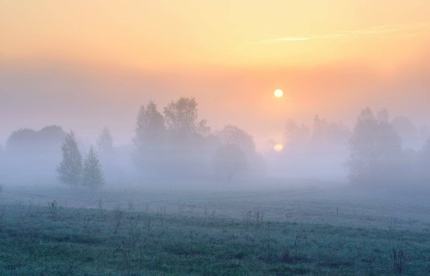 , Максим Евдокимов