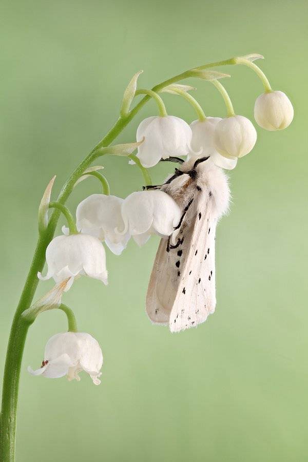 , Сергей Таланов