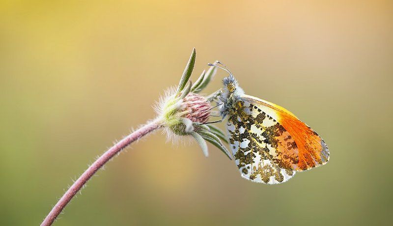 Lonely and peaceful фото превью