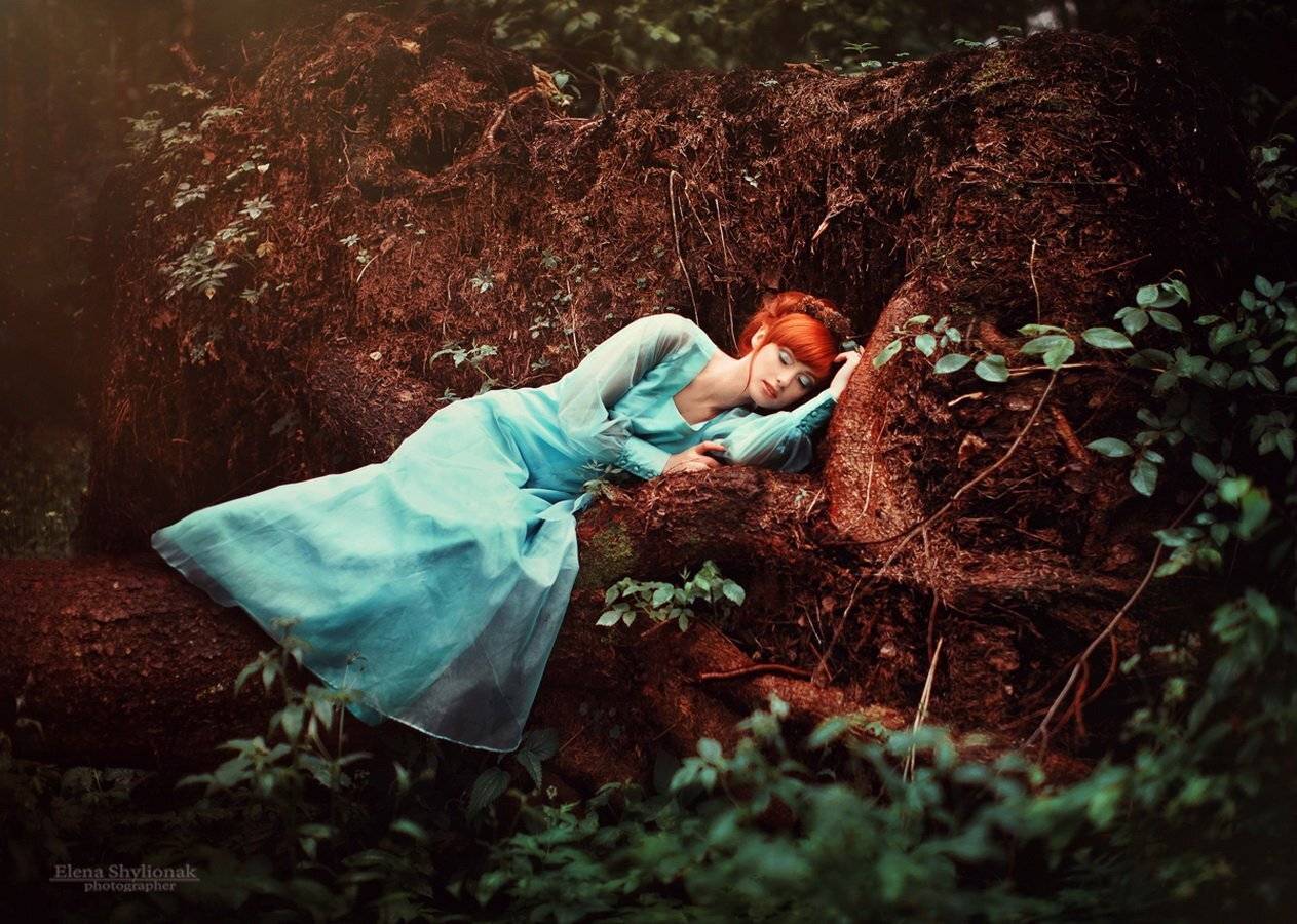 , Шиленок Елена