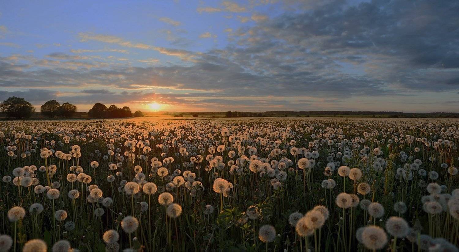 , Александр Нагибин