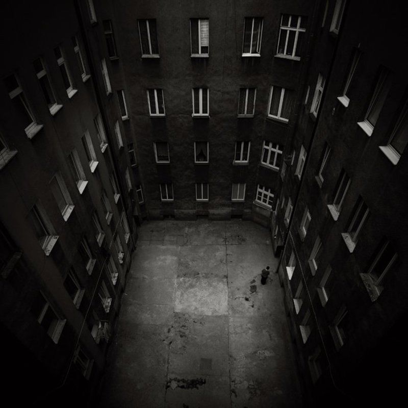 well фото превью